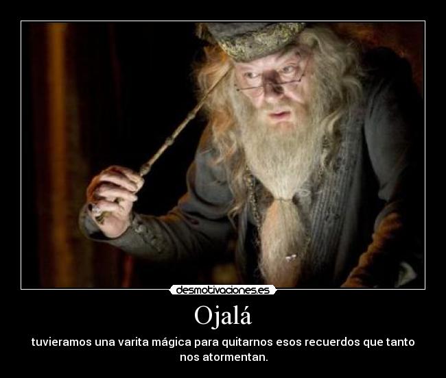 carteles ojala desmotivaciones
