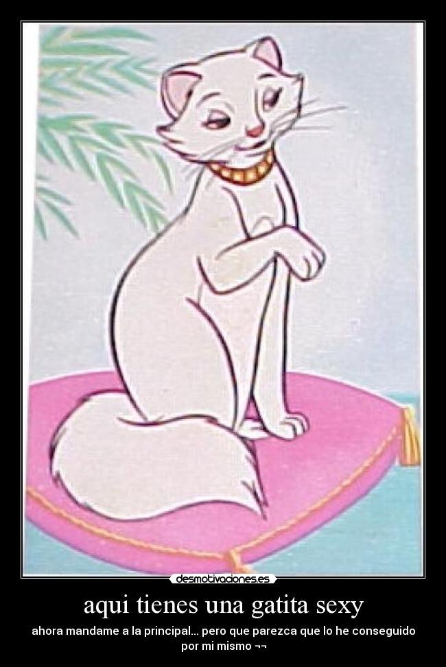 aqui tienes una gatita sexy - 