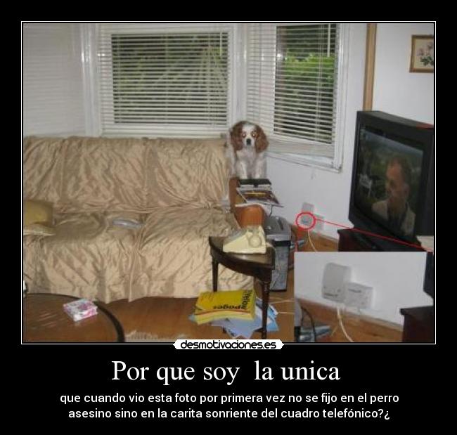 Por que soy la unica -