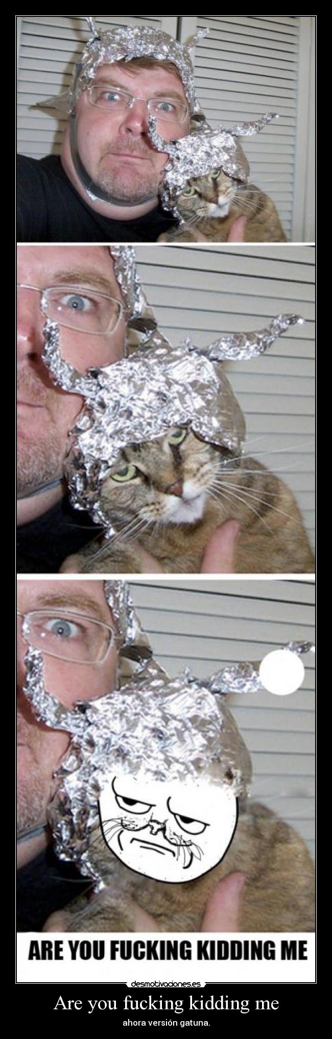 Are you fucking kidding me -