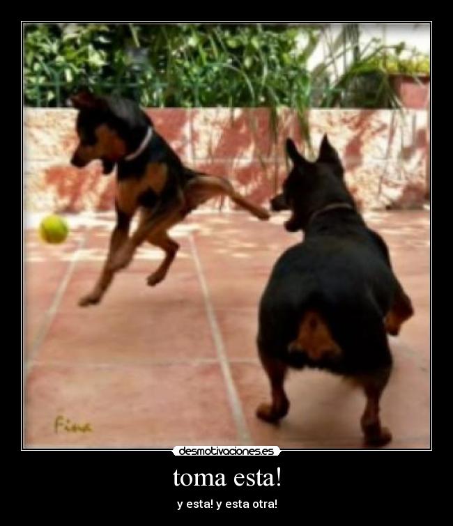 toma esta! - 