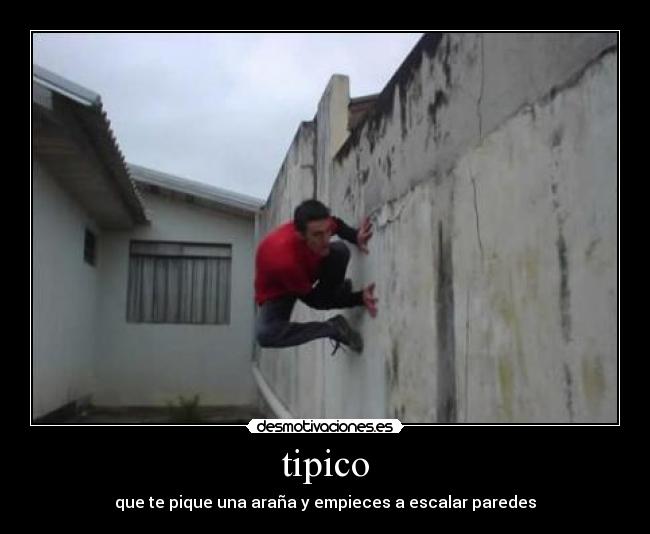 tipico -