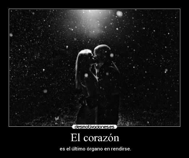El corazón -