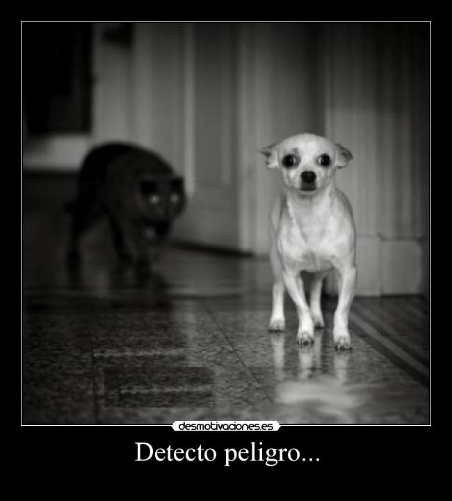 Detecto peligro... - 