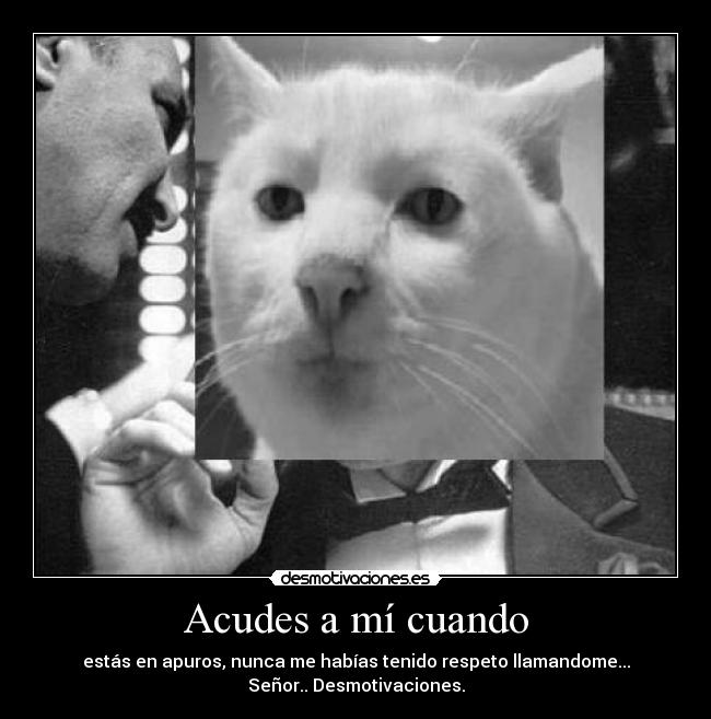 Acudes a mí cuando - estás en apuros, nunca me habías tenido respeto llamandome...
Señor.. Desmotivaciones.
