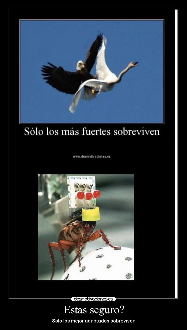 Estas seguro? - Solo los mejor adaptados sobreviven