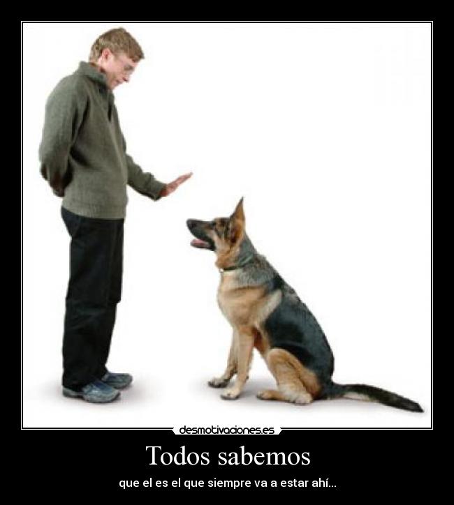 carteles desmotivaciones