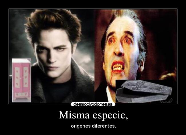 Misma especie, - origenes diferentes.