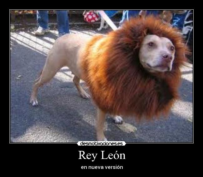 Rey León -