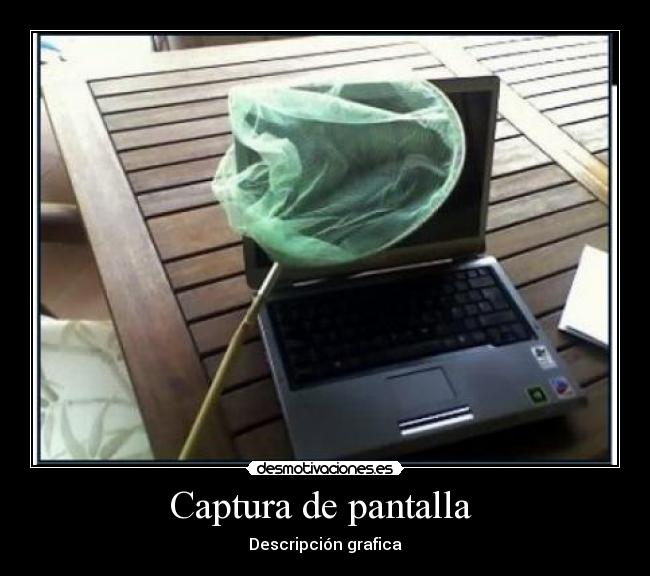Captura de pantalla - Descripción grafica