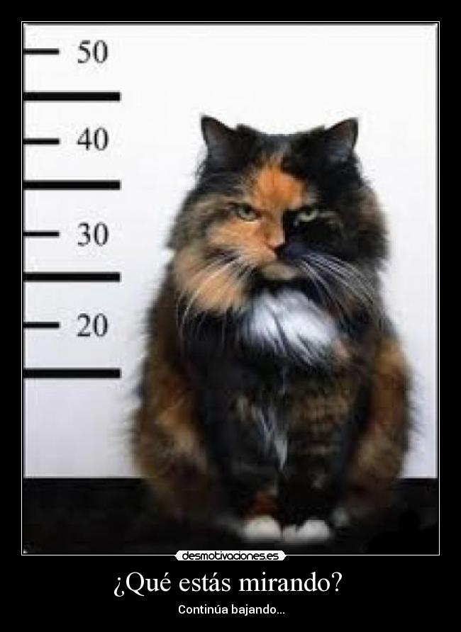 ¿Qué estás mirando? -