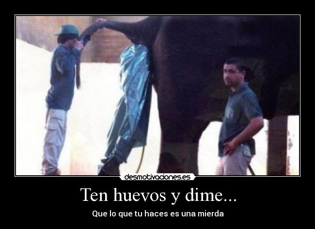 Ten huevos y dime... - Que lo que tu haces es una mierda