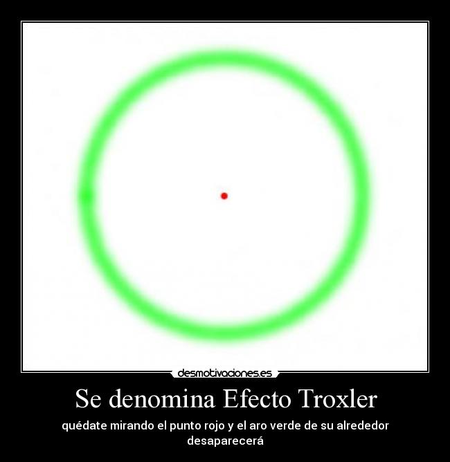 Se denomina Efecto Troxler -