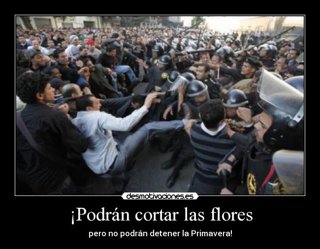 ¡Podrán cortar las flores - 