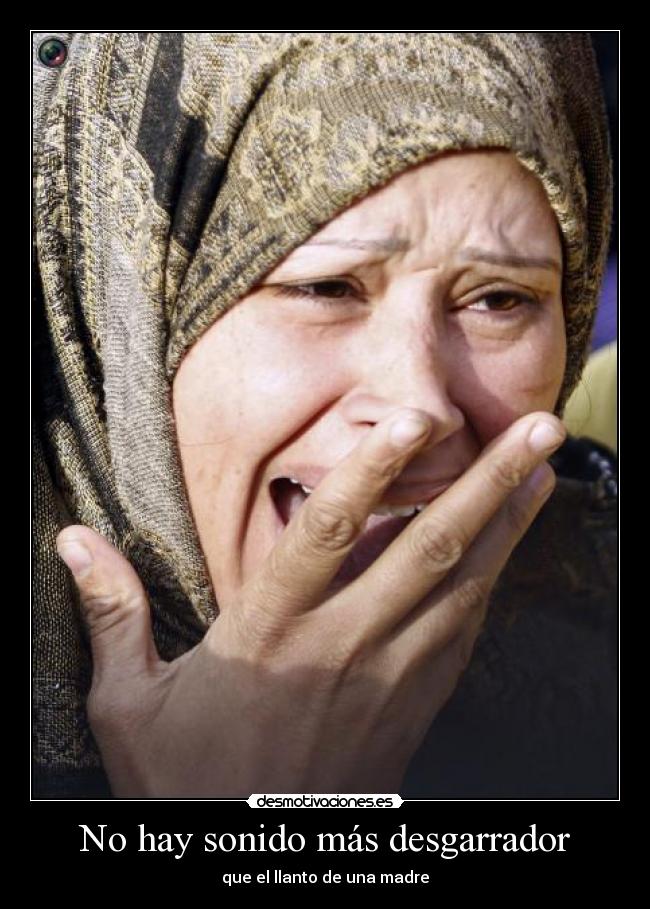 carteles protestas egipto desmotivaciones