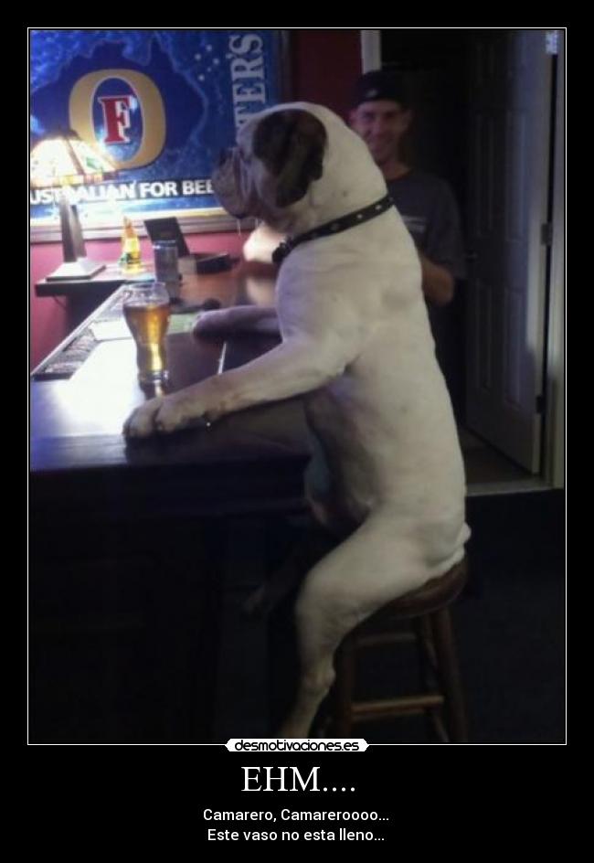 EHM.... - Camarero, Camareroooo...
Este vaso no esta lleno...