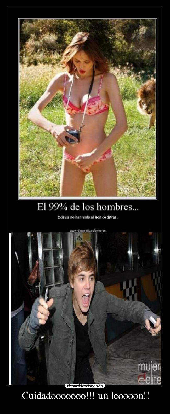 Cuidadooooooo!!! un leoooon!! -