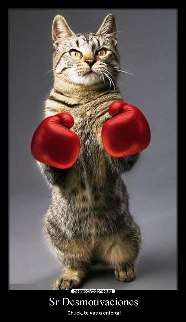 Sr Desmotivaciones - -Chuck, te vas a enterar!