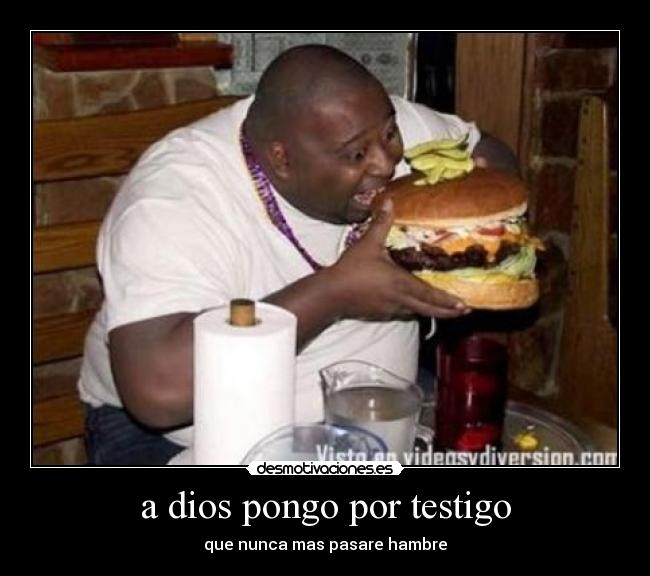 a dios pongo por testigo - que nunca mas pasare hambre