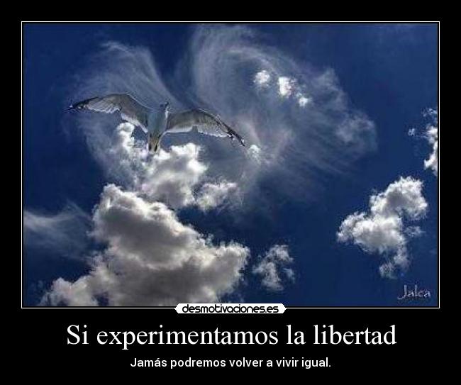 carteles libertad libertadvivirexperimentar desmotivaciones