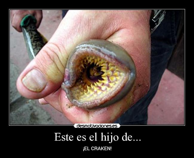 Este es el hijo de... -