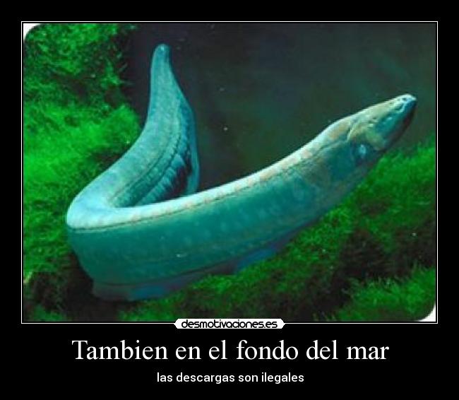 Tambien en el fondo del mar -