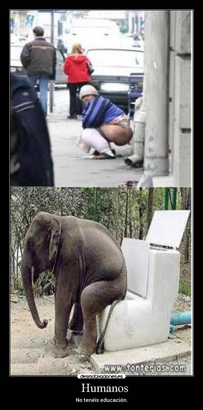 Humanos - No tenéis educación.