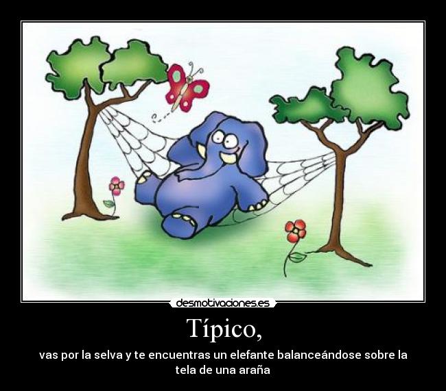 Típico, - vas por la selva y te encuentras un elefante balanceándose sobre la tela de una araña