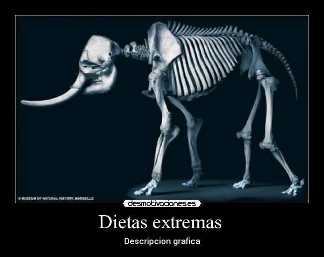 Dietas extremas  - 