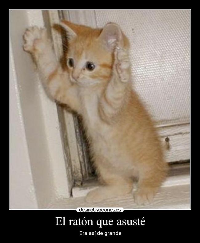 El ratón que asusté - 
