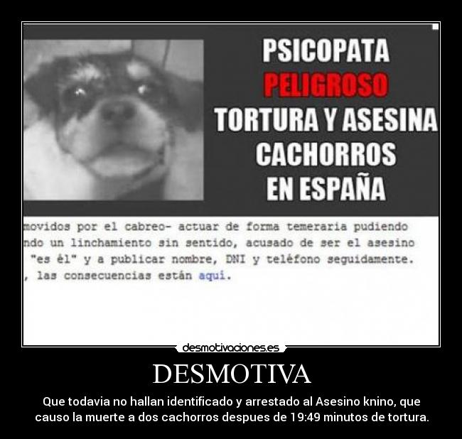 DESMOTIVA - Que todavia no hallan identificado y arrestado al Asesino knino, que
causo la muerte a dos cachorros despues de 19:49 minutos de tortura.
