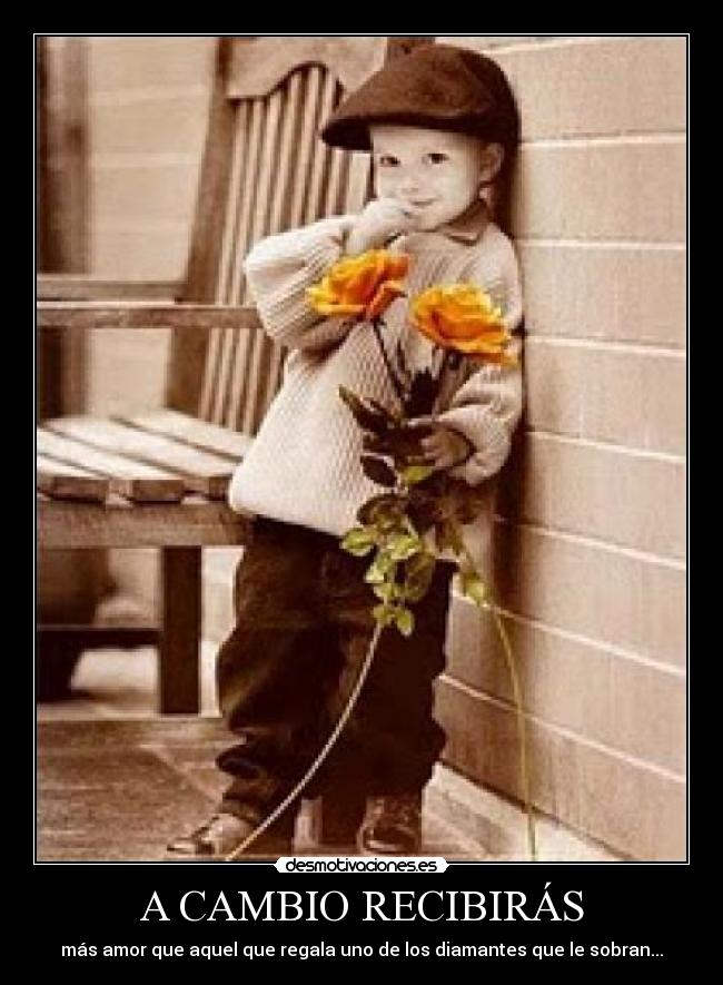 carteles amor diamante lujo falso rosa flor nino sincero verdadero desmotivaciones