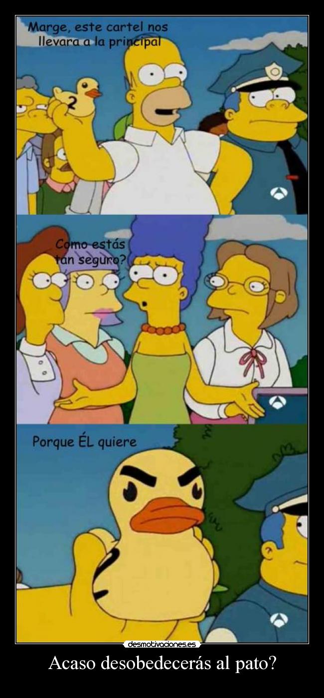 Acaso desobedecerás al pato? - 