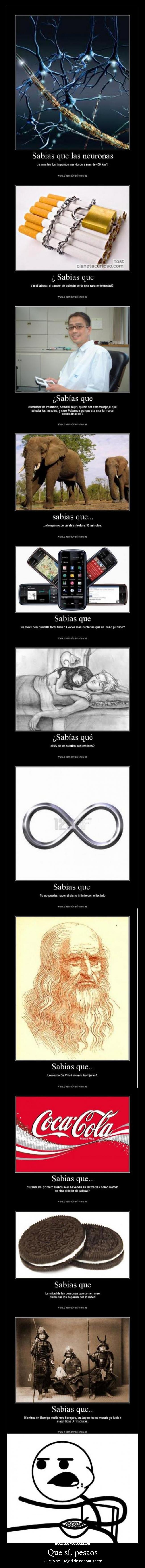 Que sí, pesaos - Que lo sé. ¡Dejad de dar por saco!