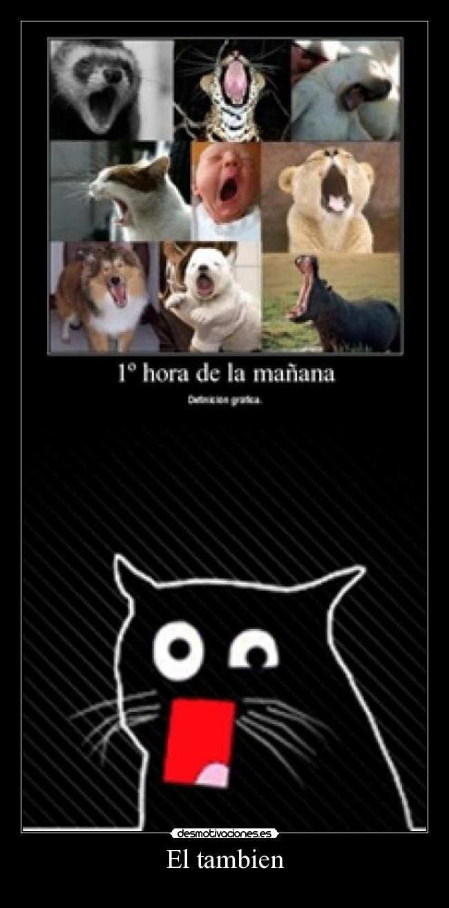 carteles tambien desmotivaciones