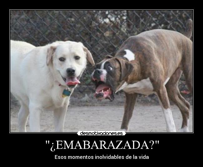 ¿EMABARAZADA? - 