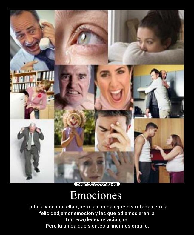 Emociones - Toda la vida con ellas ,pero las unicas que disfrutabas era la
felicidad,amor,emocion y las que odiamos eran la
tristesa,desesperacion,ira.
Pero la unica que sientes al morir es orgullo.