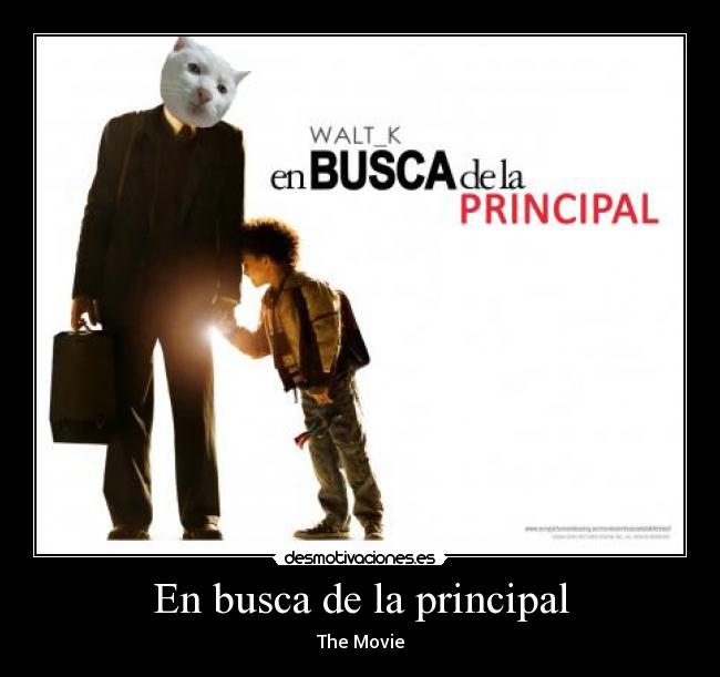 En busca de la principal - 