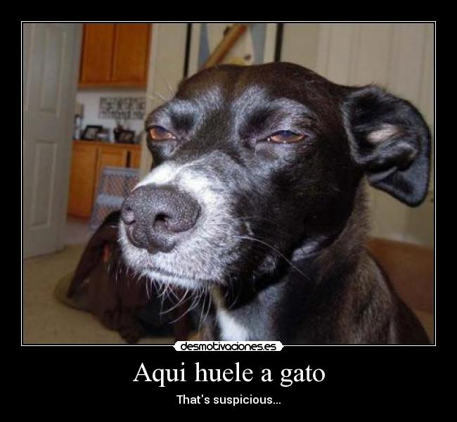 Aqui huele a gato - Thats suspicious...