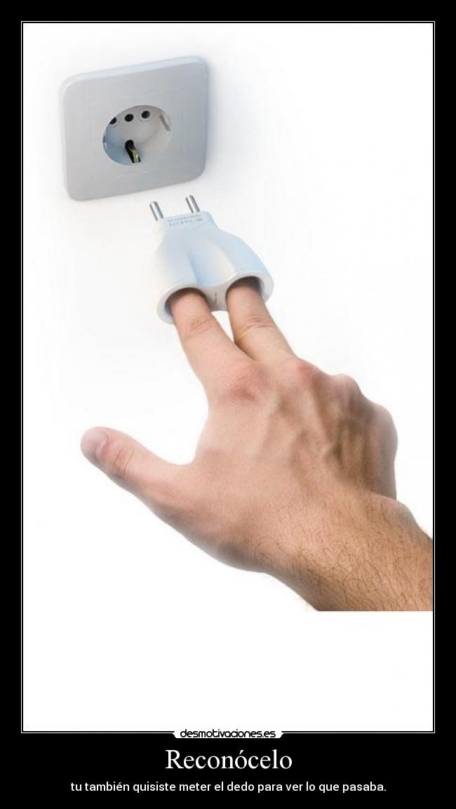 Reconócelo - tu también quisiste meter el dedo para ver lo que pasaba.