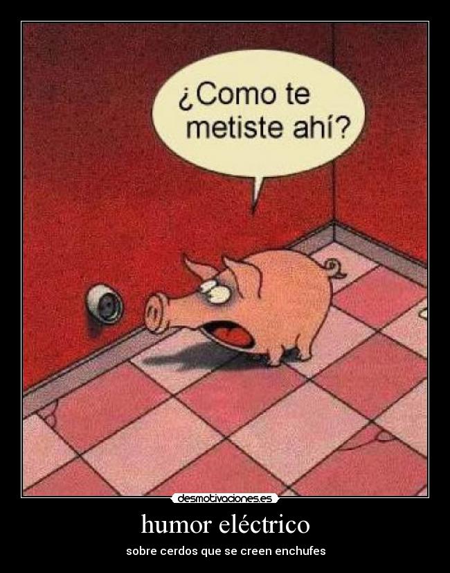 carteles humor humor electrico sobre cerdos que creen enchufes desmotivaciones