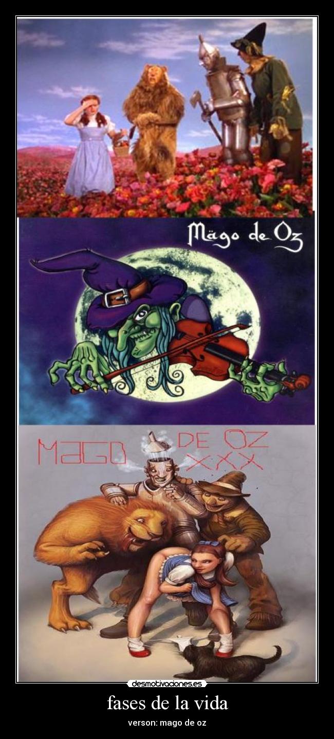 fases de la vida - 