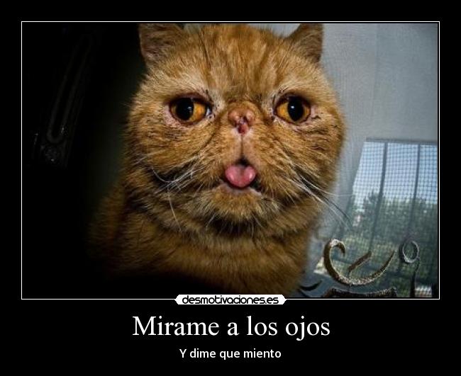 Mirame a los ojos - Y dime que miento