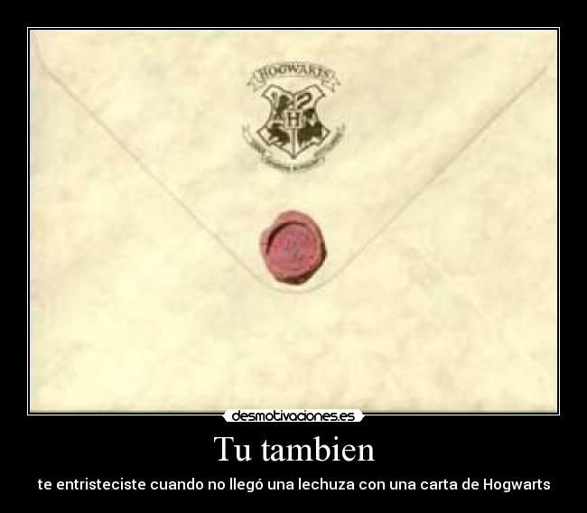 Tu tambien - te entristeciste cuando no llegó una lechuza con una carta de Hogwarts