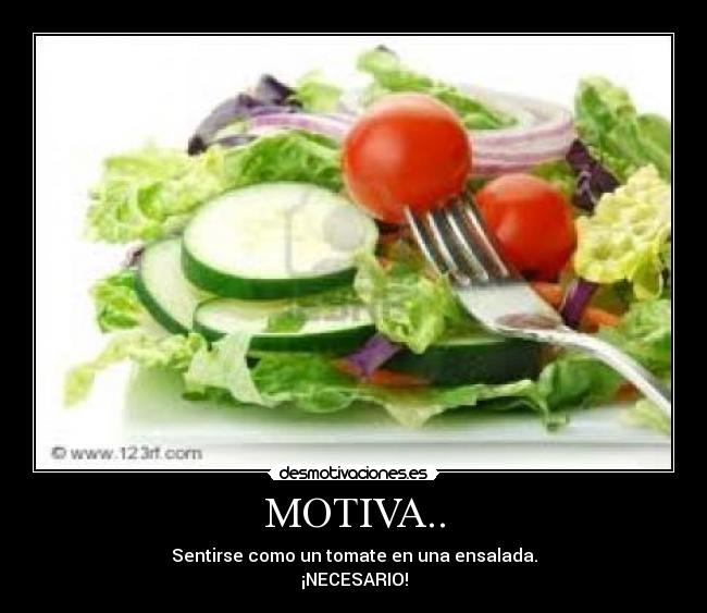 MOTIVA.. - 