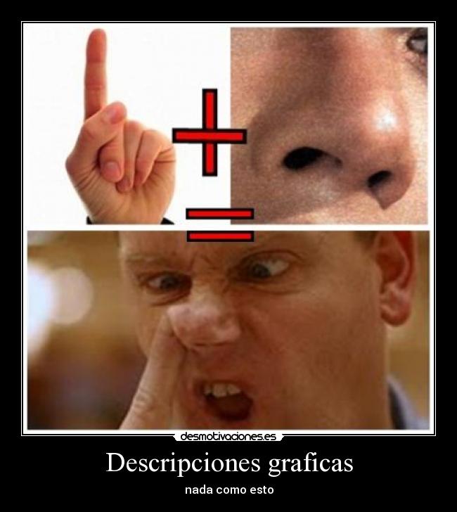 Descripciones graficas -
