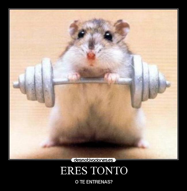 ERES TONTO -