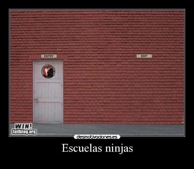 Escuelas ninjas - 