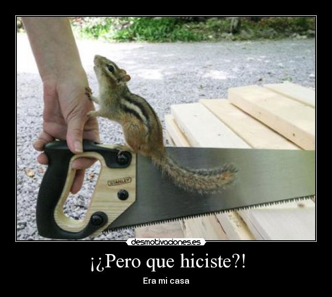 ¡¿Pero que hiciste?! - 