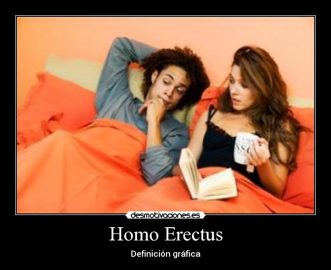 Homo Erectus - Definición gráfica